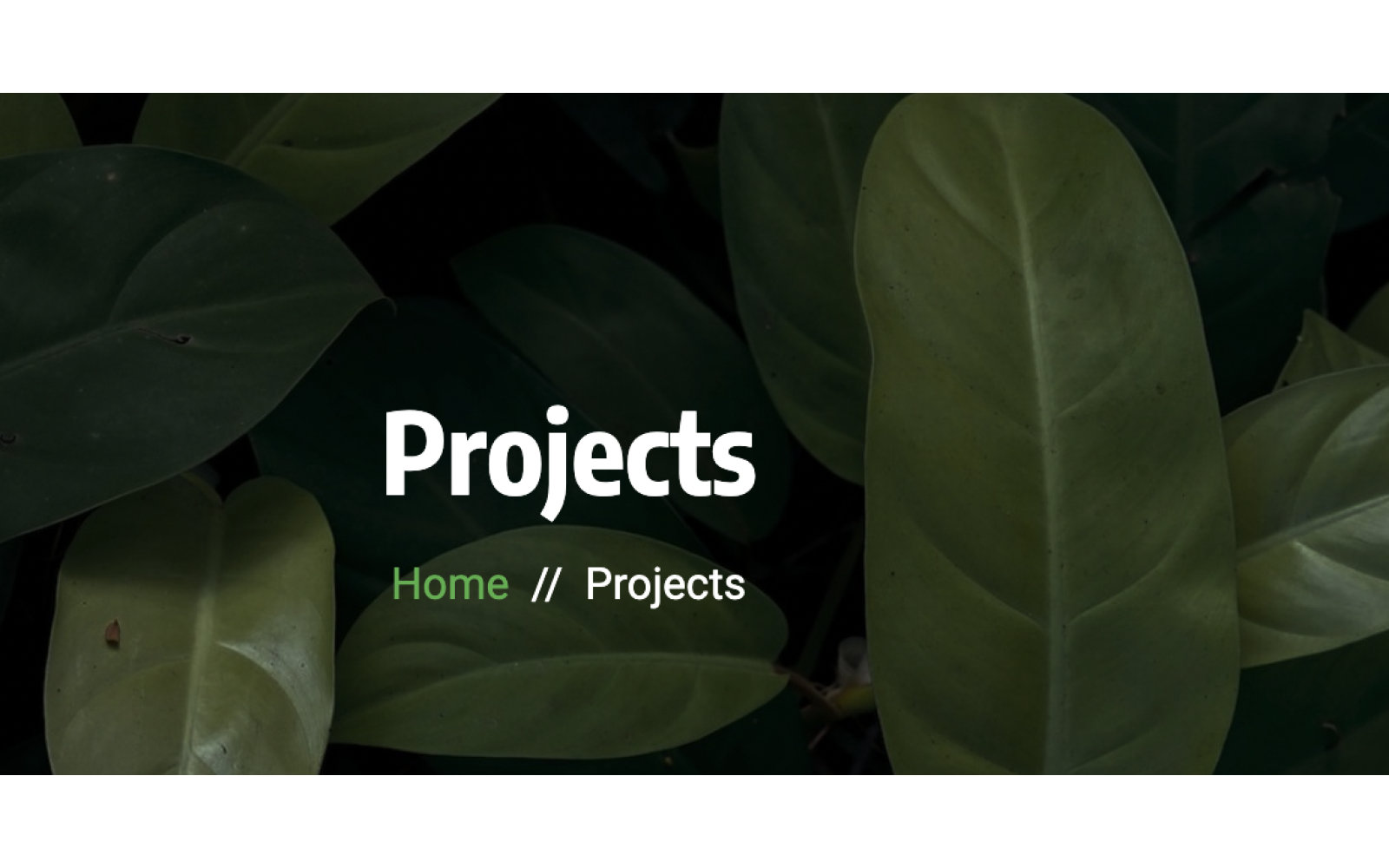 project img